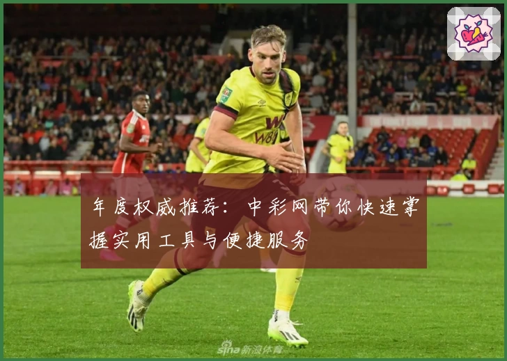 年度权威推荐：中彩网带你快速掌握实用工具与便捷服务