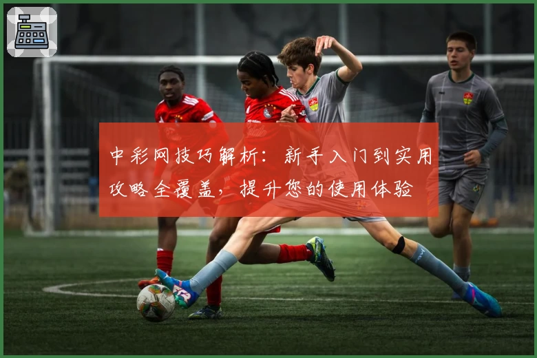 中彩网技巧解析：新手入门到实用攻略全覆盖，提升您的使用体验