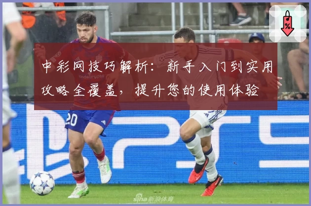 中彩网技巧解析：新手入门到实用攻略全覆盖，提升您的使用体验