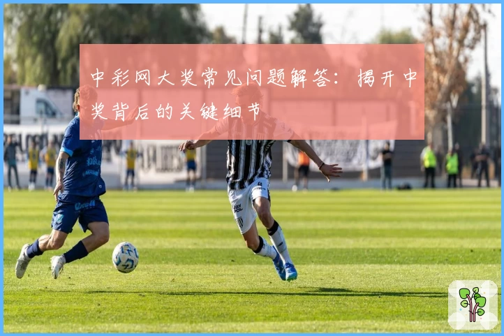 中彩网大奖常见问题解答:揭开中奖背后的关键细节