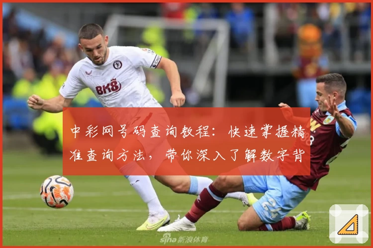 中彩网号码查询教程：快速掌握精准查询方法，带你深入了解数字背后的小秘诀